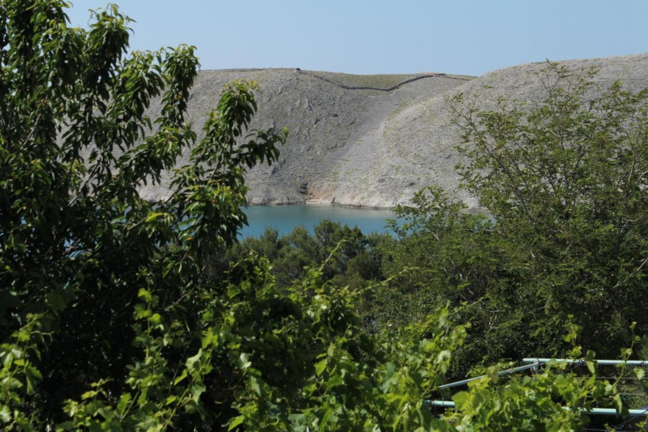Family Friendly Seaside Apartments Vlasici, Pag - 4319 Екстериор снимка